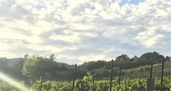 Yoga & Vine ~ a toast to harvest season, 16 August | Event in Napa | AllEvents