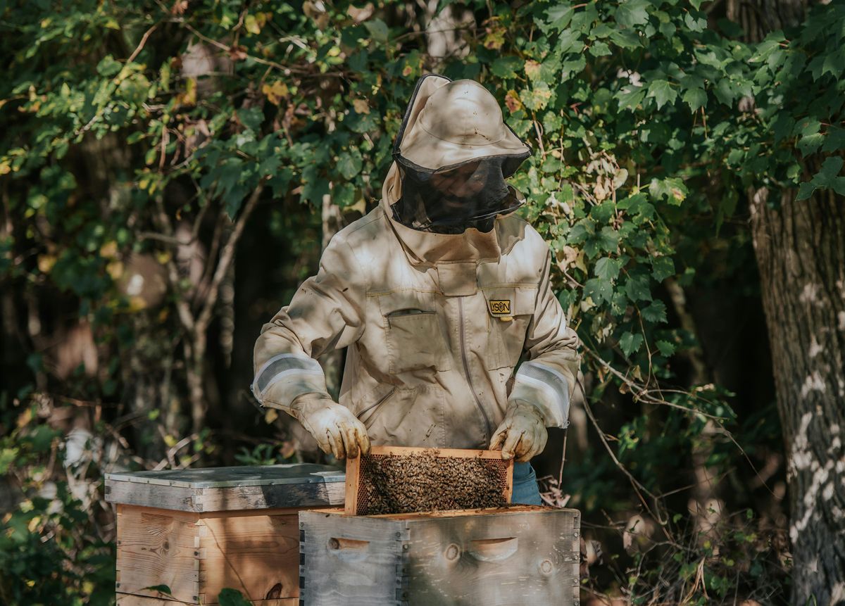 Intro to Beekeeping, 9 August | Event in Atlanta | AllEvents