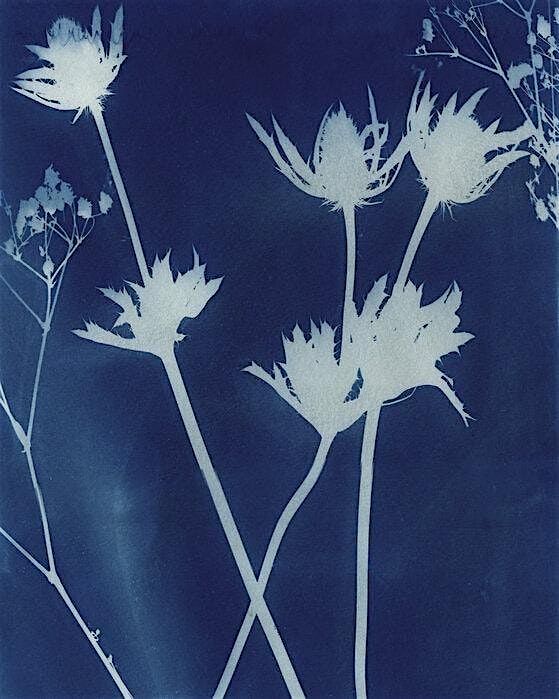 Crafts + Drafts - Botanical Cyanotype Prints, 29 June | Event in Pensacola | AllEvents