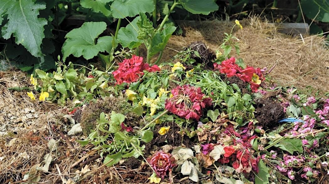Drawing Flowers out of the Compost Cycle IN-PERSON AT DOROT, 29 July | Event in New York | AllEvents
