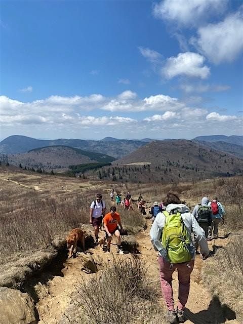 Rediscover the Unforgettable in Brevard: Sam Knob Hike, 10 September | AllEvents
