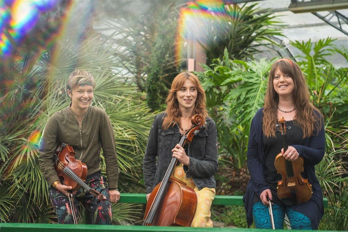 Cambridge Jazz Festival  at Hot Numbers: J.A.M. String Collective, 14 November | Event in Cambridge | AllEvents