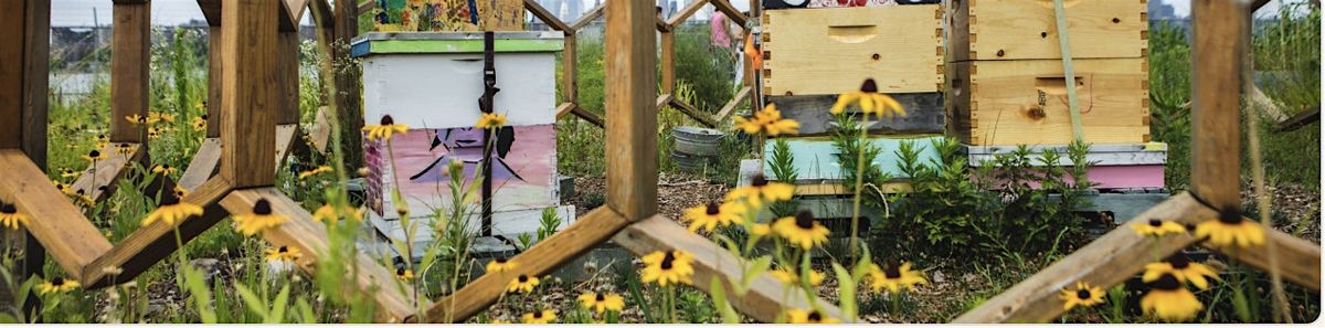 Beekeeping Workshop with Island Bee Project, 28 June | Event in Brooklyn | AllEvents