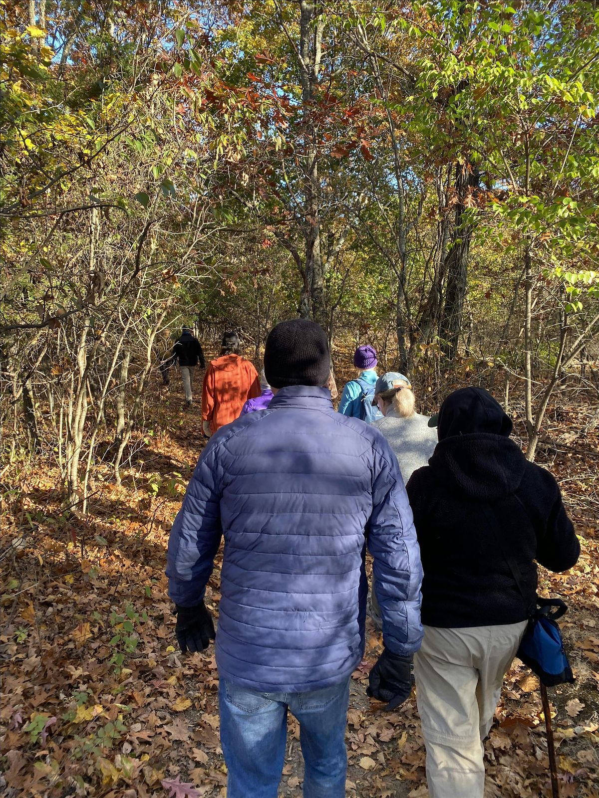 Lawrence Woods - Middlesex Fells Loop, 17 May | Event in Medford | AllEvents