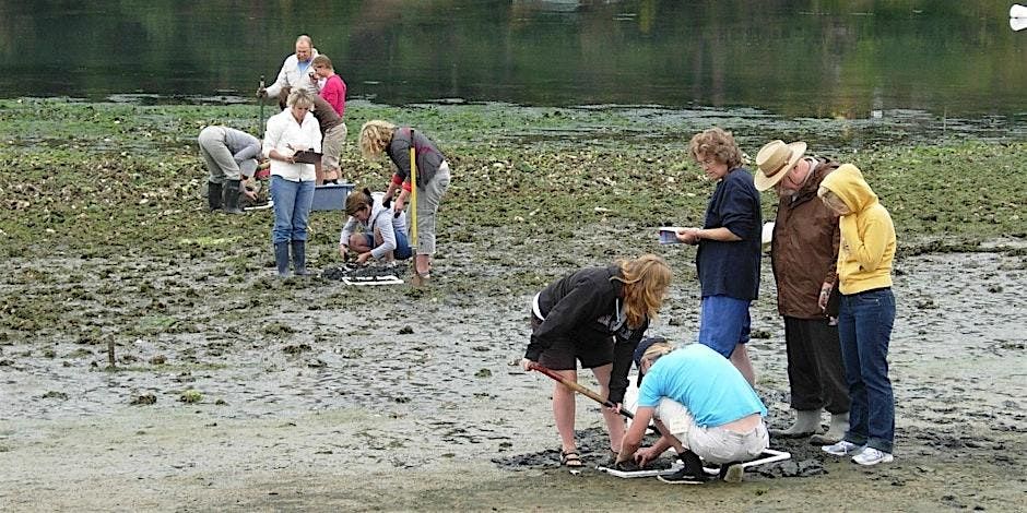 Teachers on the Estuary Workshop for Elementary Educators, 24 June | Event in Mount Vernon | AllEvents