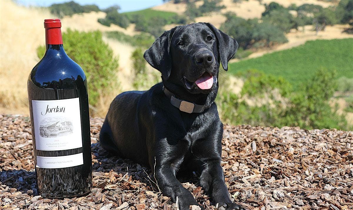 Wags and Wine, 23 August | Event in El Cajon | AllEvents