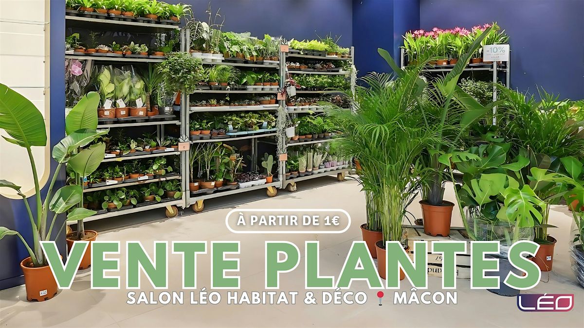 VENTE PLANTES MÂCON, 10 October | Event in Mâcon | AllEvents