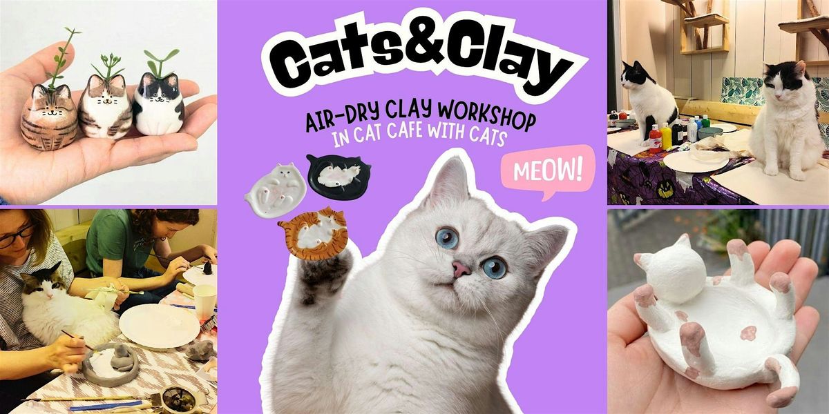 Cats&Clay - clay workshop in cat cafe with cats - Tilburg
