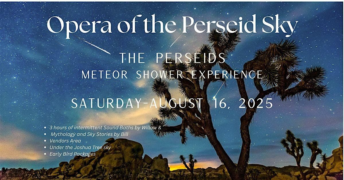 The Perseids Meteor Shower Experience, 16 August | Event in Joshua Tree | AllEvents