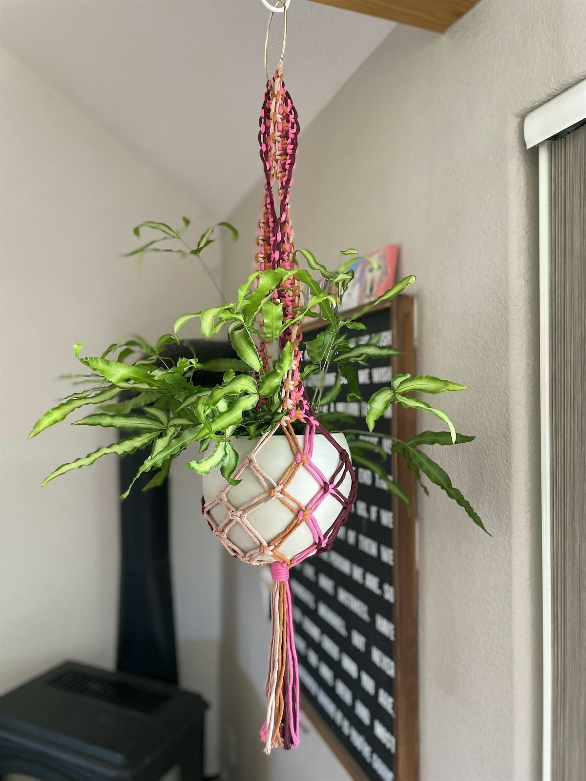 Intermediate Colorful Plant Hanger, 19 September | Event in Colorado Springs | AllEvents