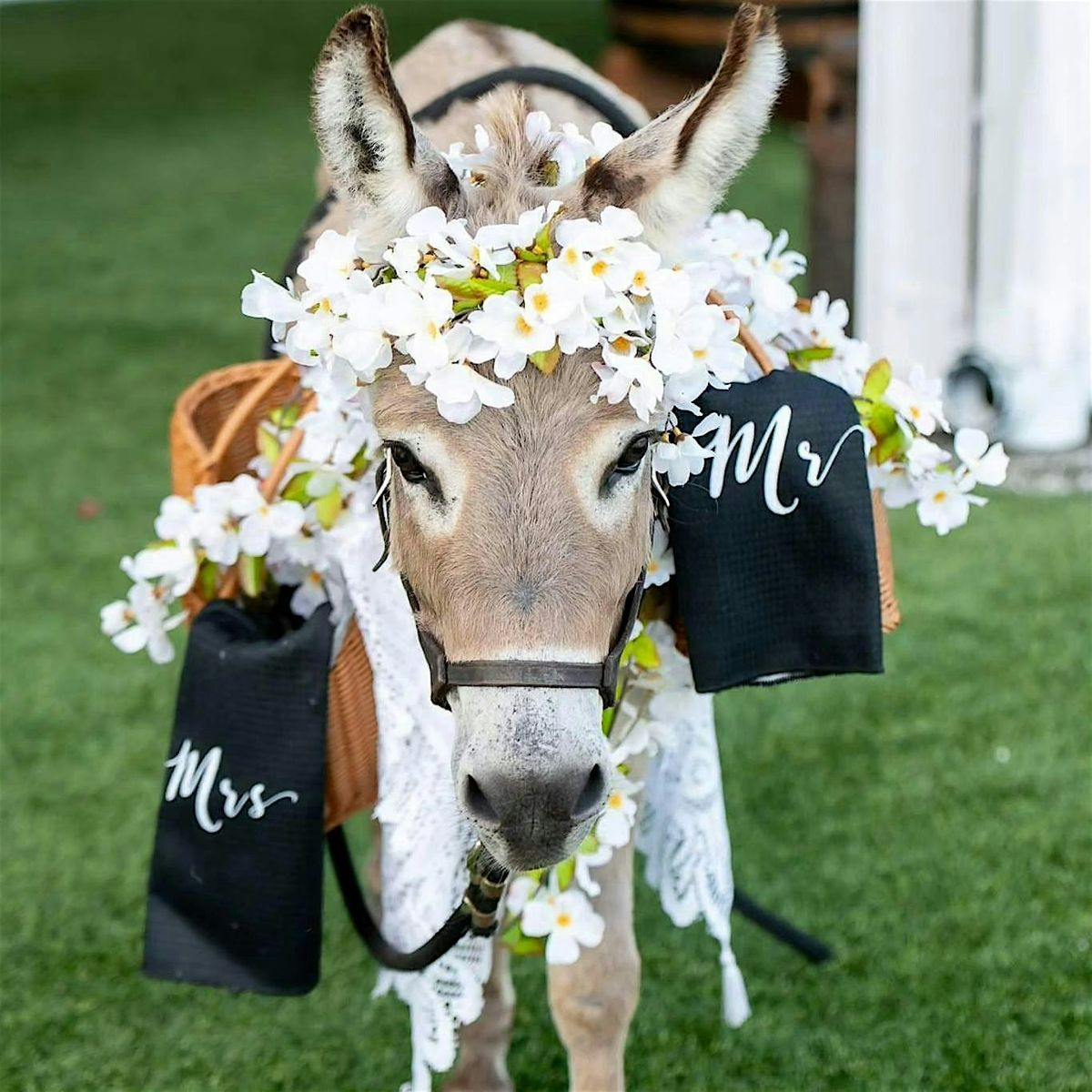 Rayshell Ranch Fall Vendor & Venue Showcase, 13 November | Event in Loxahatchee | AllEvents