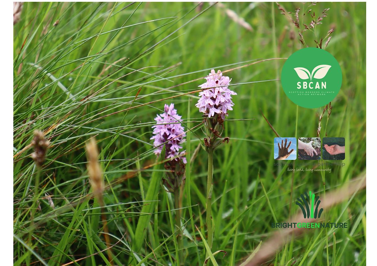 Expertise Talk: An Introduction to Rewilding, 26 September | Event in Selkirk | AllEvents