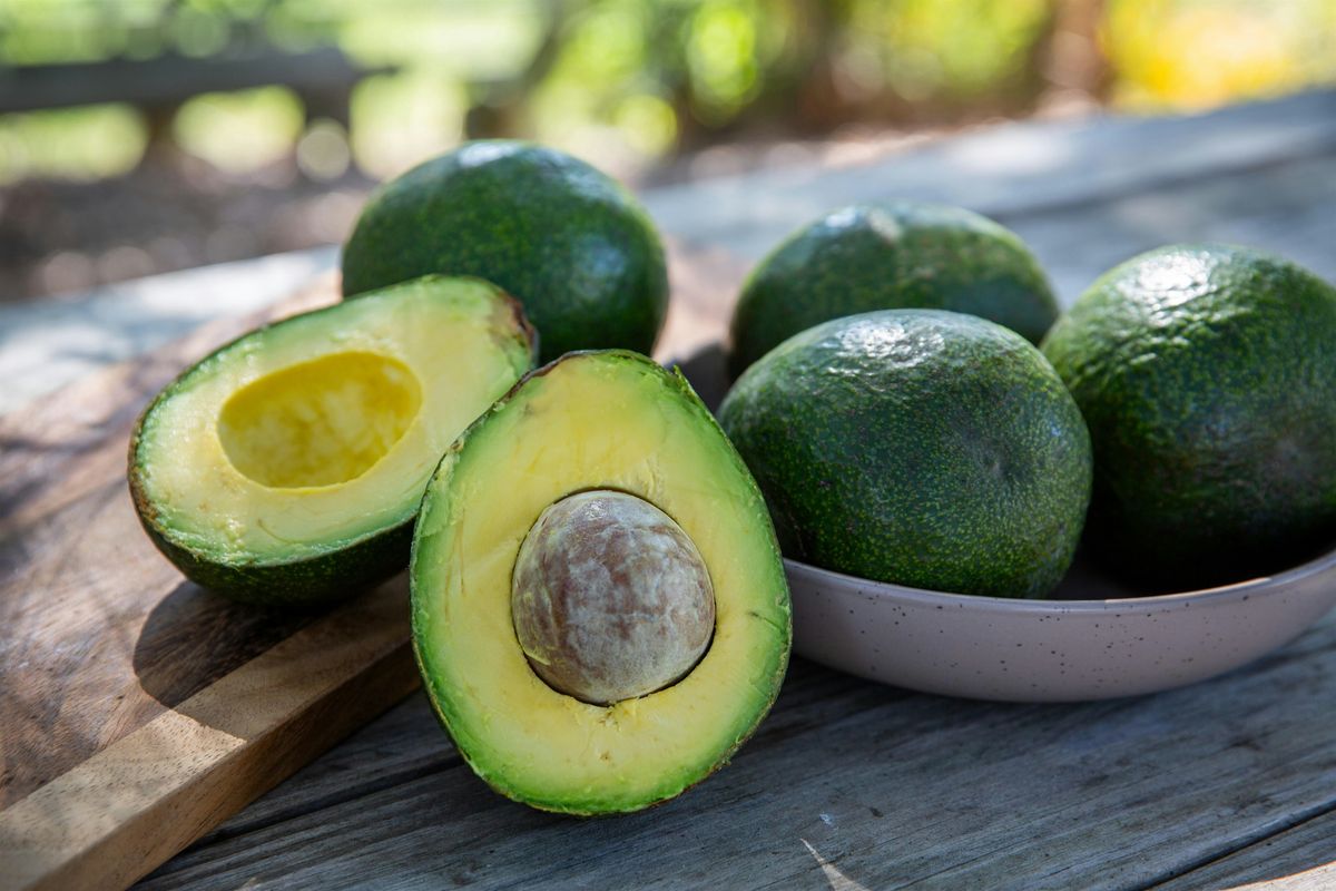 Avocado Immersion: Talk, Tasting + Q&A, 23 August | Event in Moorpark | AllEvents