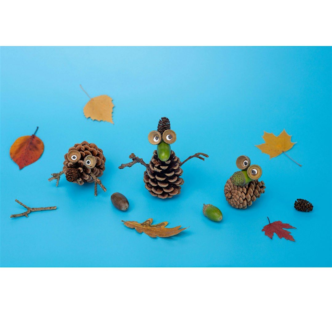 Pine Cone Pals: Family Program, $4 per person upon arrival, 14 December | Event in Kings Park | AllEvents