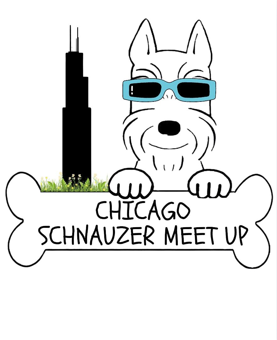 Chicago Schnauzer Meet Up, 1 June | Event in Chicago | AllEvents