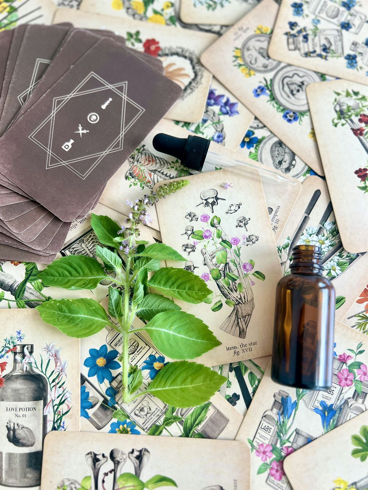 Tinctures & Tarot - August, 6 August | Event in Carolina Beach | AllEvents