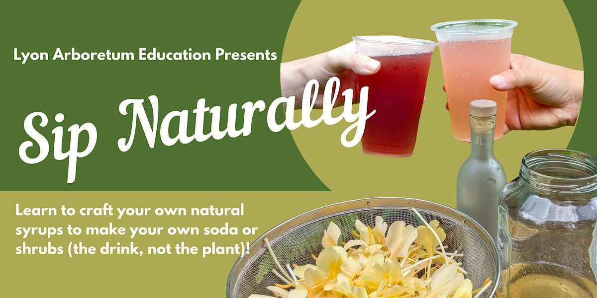 Sip Naturally ! Make your own soda!, 22 November | Event in Honolulu | AllEvents