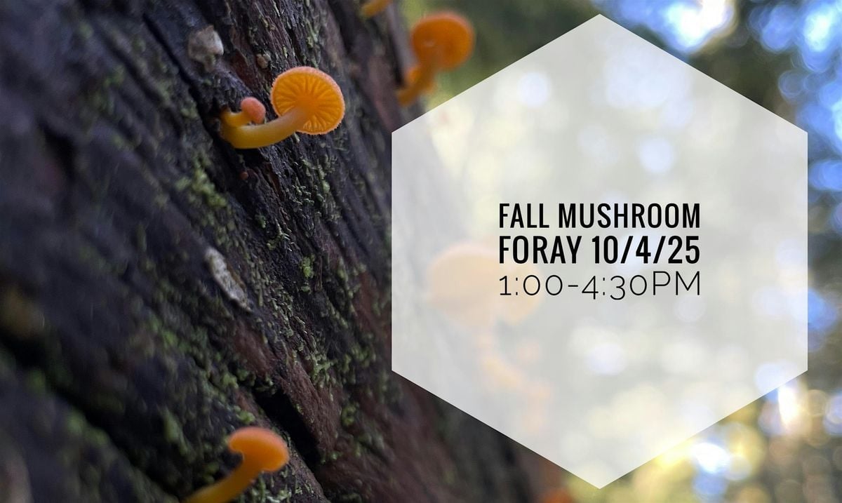 Fall Mushroom Foray Sat/10/4/25 1:00pm, 4 October | Event in Trout Lake | AllEvents