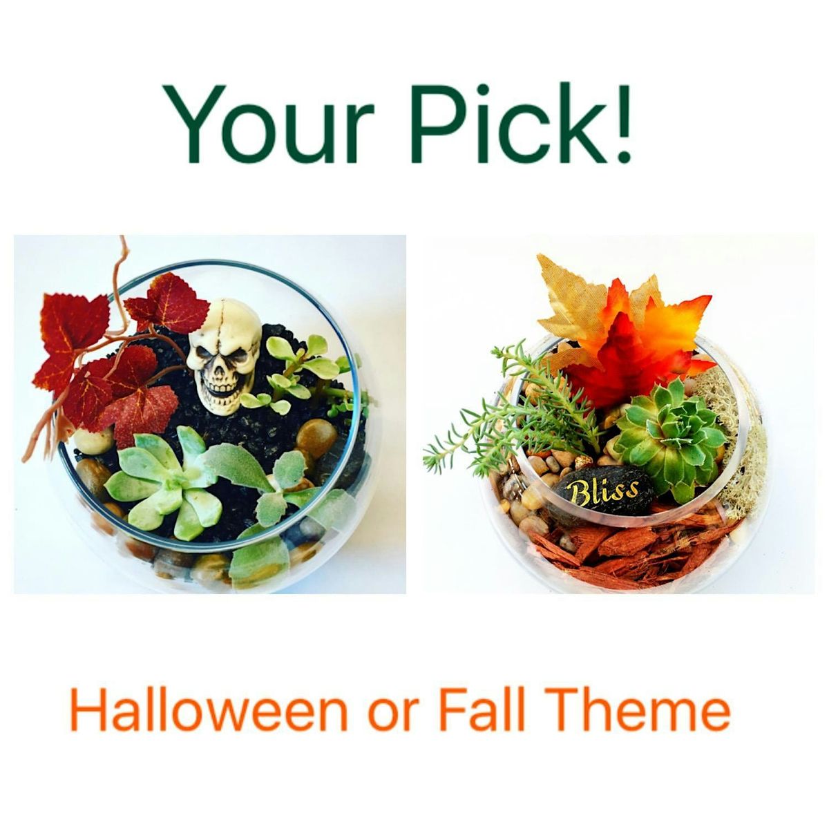 Plant Nite: Make a Succulent Terrarium, 27 October | Event in Pittsburgh | AllEvents