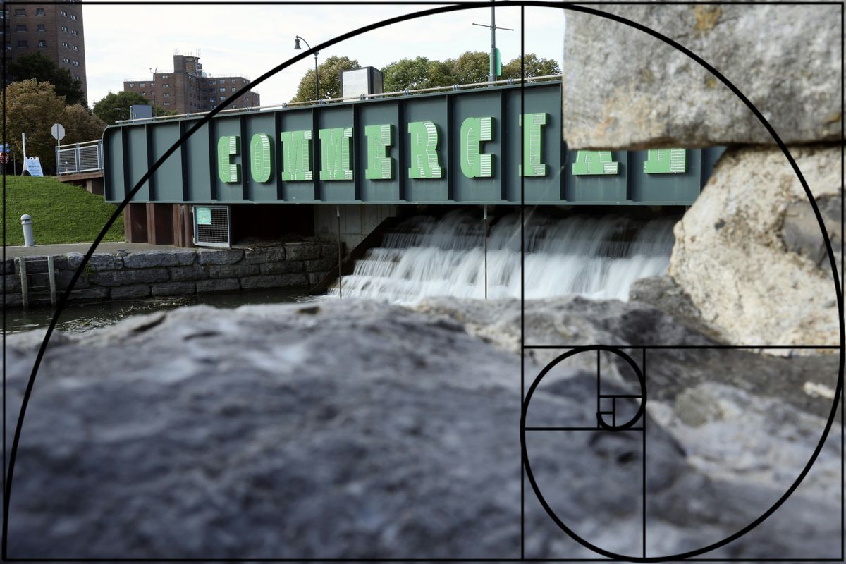 Intro to Photography and Composition, 24 January | Event in Buffalo | AllEvents