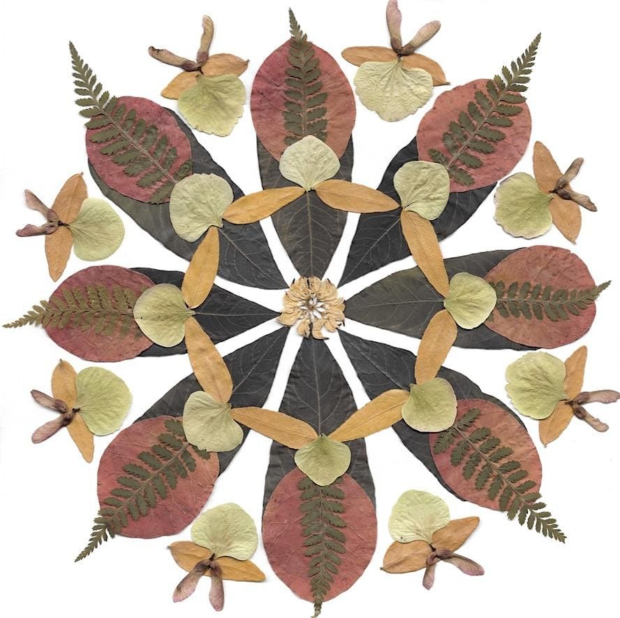 Leaf Collage Workshop, 1 November | Event in Underhill | AllEvents