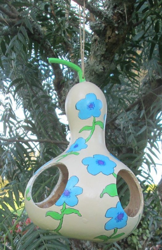 Bottle Gourd Bird Feeder Workshop At Community Led Education