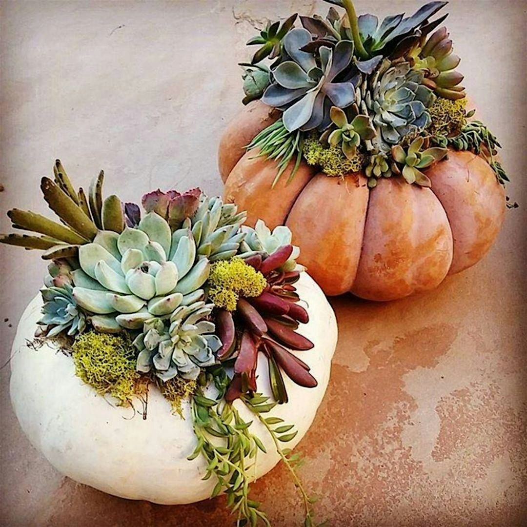 2nd Annual "Great Pumpkin Centerpiece Party", 6 November | Event in Pittsburgh | AllEvents