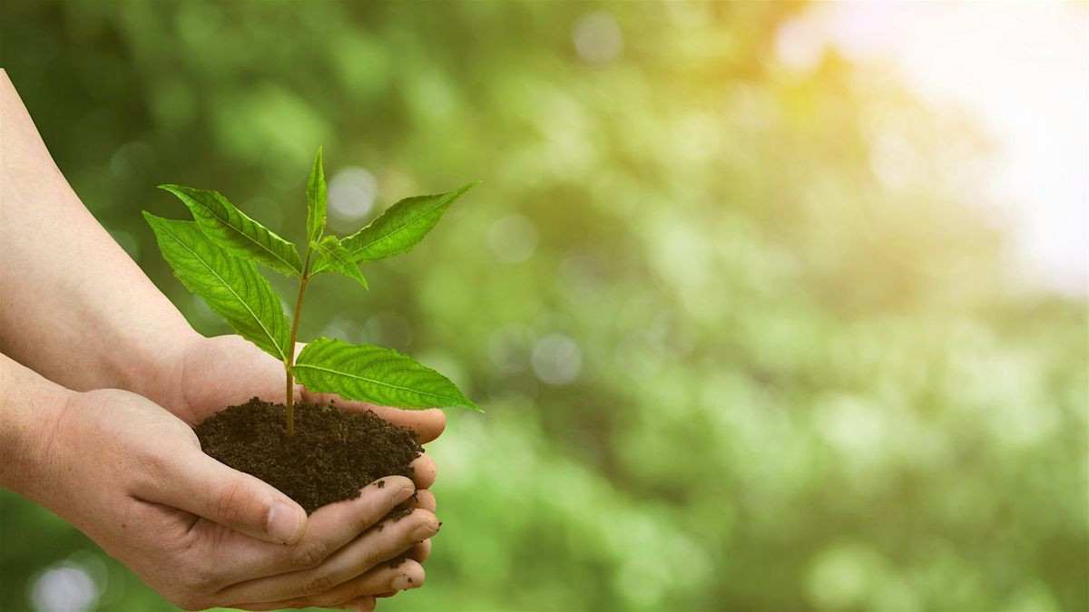 Eco Garden Design, 24 September | Event in Hayesville | AllEvents
