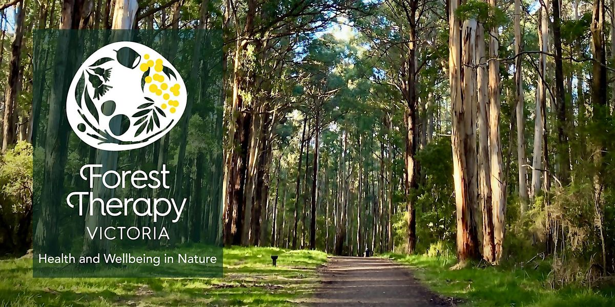 Forest Therapy at Grant's Picnic Ground (Sherbrooke, The Dandenongs), 14 December | Event in Sherbrooke | AllEvents