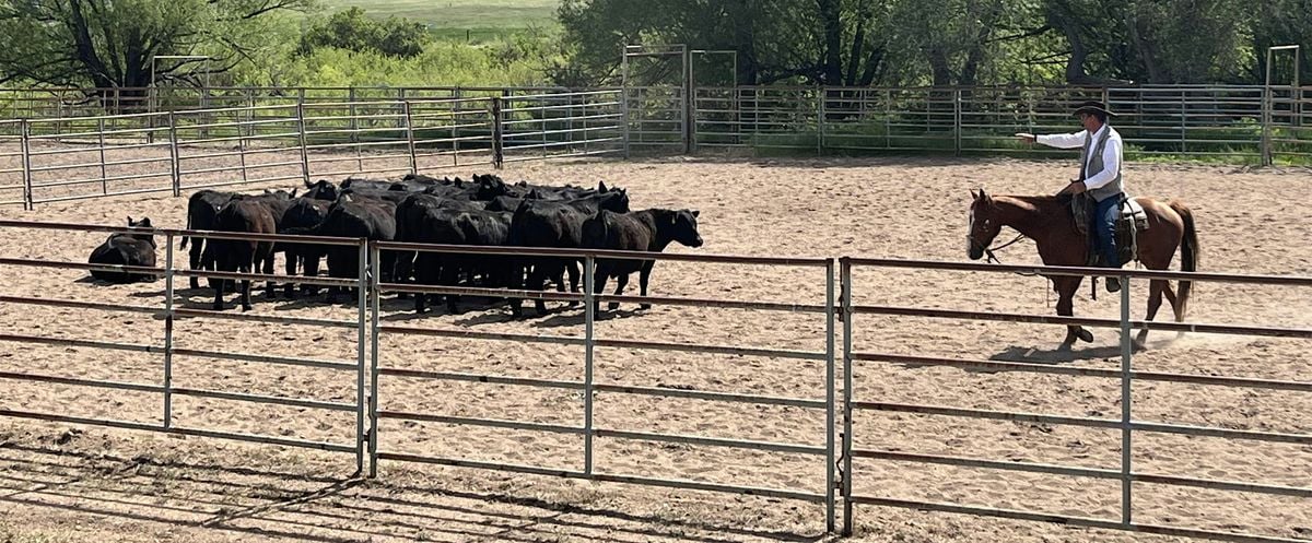 Weld County Livestock Association Stockmanship & BQA Event, 20 September | Event in Greeley | AllEvents