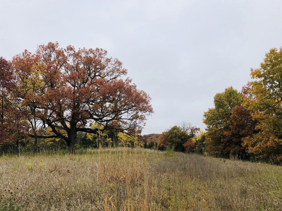 Sunset Fall Color Hike, 21 October | Event in Earlham | AllEvents