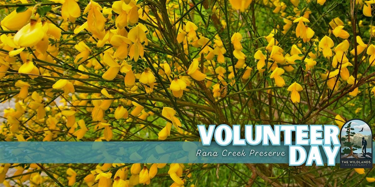 Volunteer Day: Invasive Plant Removal - Rana Creek Preserve, 13 December | Event in Carmel Valley | AllEvents