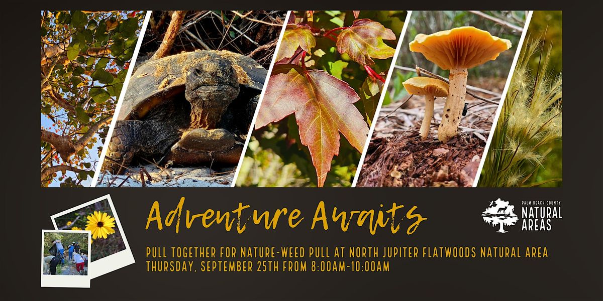 Adventure Awaits - Pull Together for Nature W**d Pull @ N Jupiter Flatwoods, 25 September | Event in Jupiter