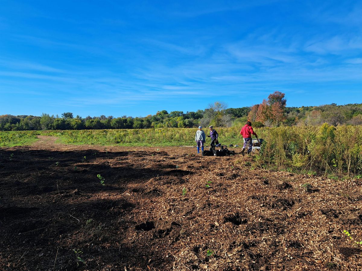 2025 Wiijindamaan Spring Planting Day!, 24 May | Event in Kitchener | AllEvents