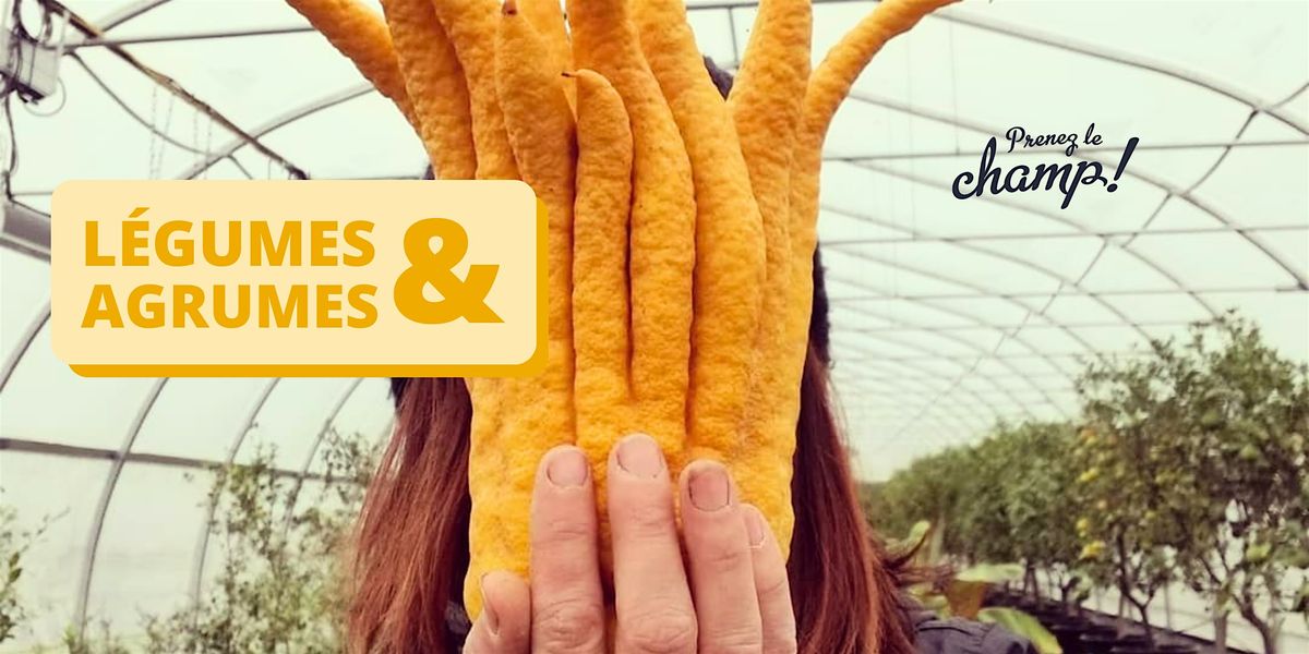 Prenez le champ "légumes & agrumes", 5 October | Event in Laval | AllEvents