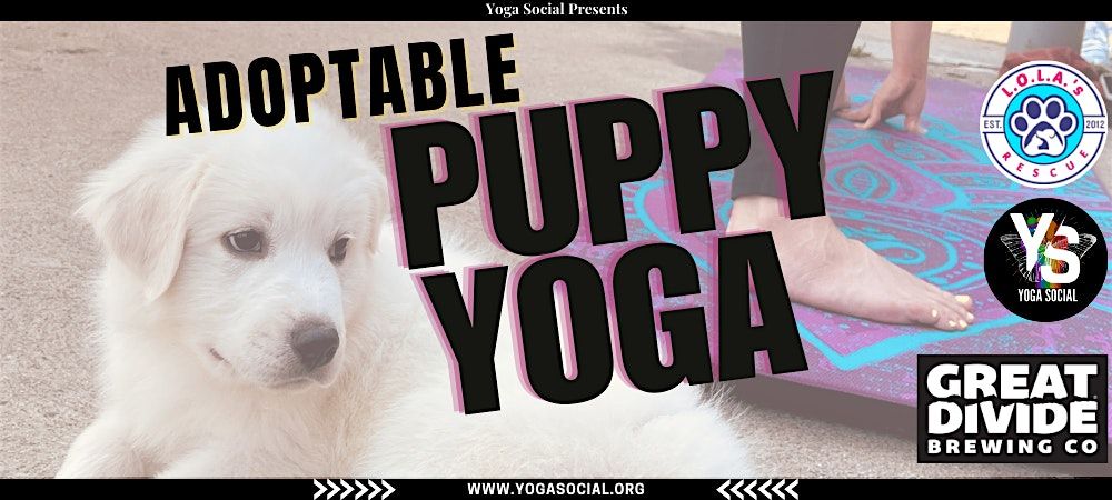 Adoptable Puppy Yoga at Great Divide Barrel Bar | Event in Denver | AllEvents