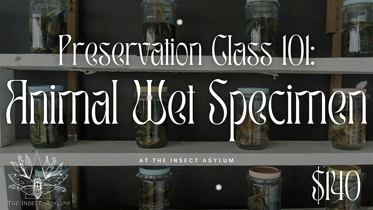 Animal Wet Specimen Workshop, 15 August | Event in chicago | AllEvents
