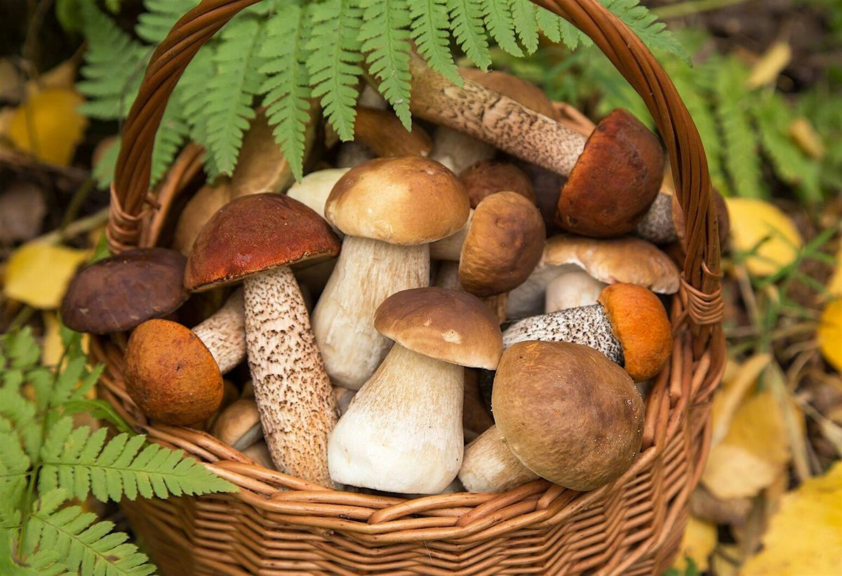 Wild Mushroom Wine Dinner, 23 October | Event in Elkridge | AllEvents