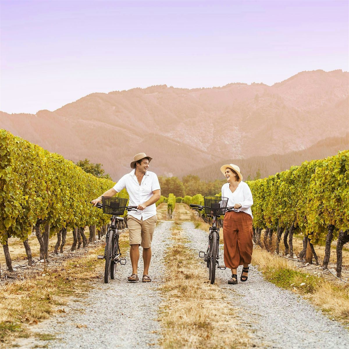E-Bike Adventures Through the Vineyards and Castles of Oltrepò Pavese, 1 September | Event in Robecco Pavese