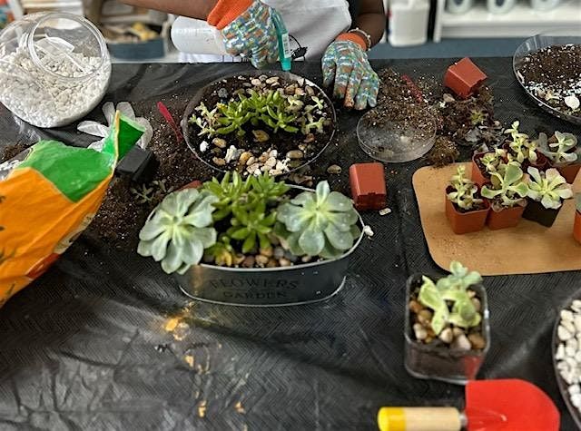 Plant & Sip, 17 May | Event in St. Peters | AllEvents