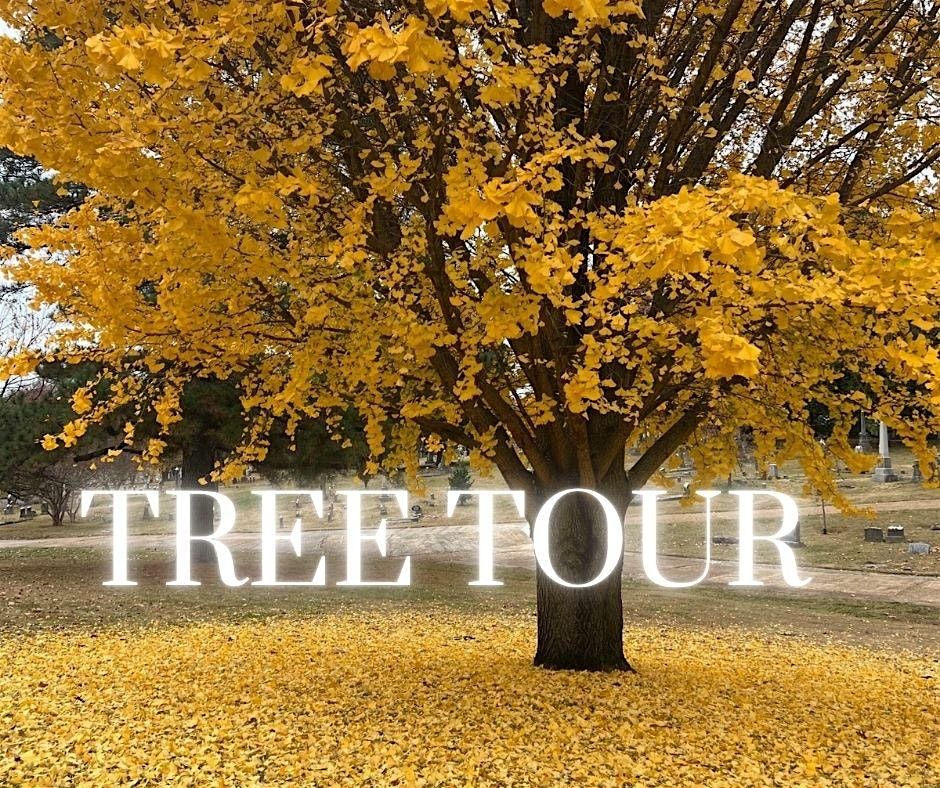Tree Tour, 15 November | Event in Memphis | AllEvents