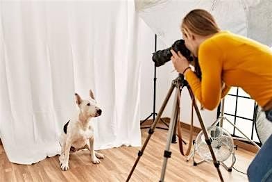 Lights, Camera, Content!  Realtor-Only Edition, 19 September | Event in Cleveland | AllEvents
