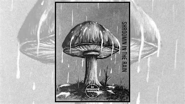 Charcoal Drawing Event "Shroomin in the Rain" in Montello, 14 July | Event in Montello | AllEvents