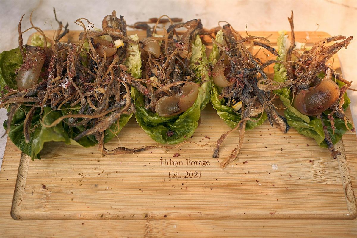 Forage and Feast Forage walk with Wild Lunch, Brighton Foraging. Vegan, 15 November | Event in Stanmer | AllEvents