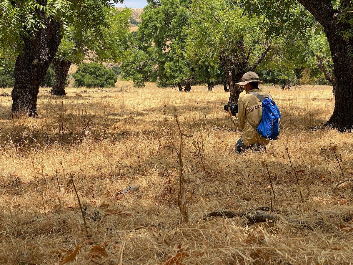 Coyote Creek Visitor Center BioBlitz, 13 July | Event in Morgan Hill | AllEvents