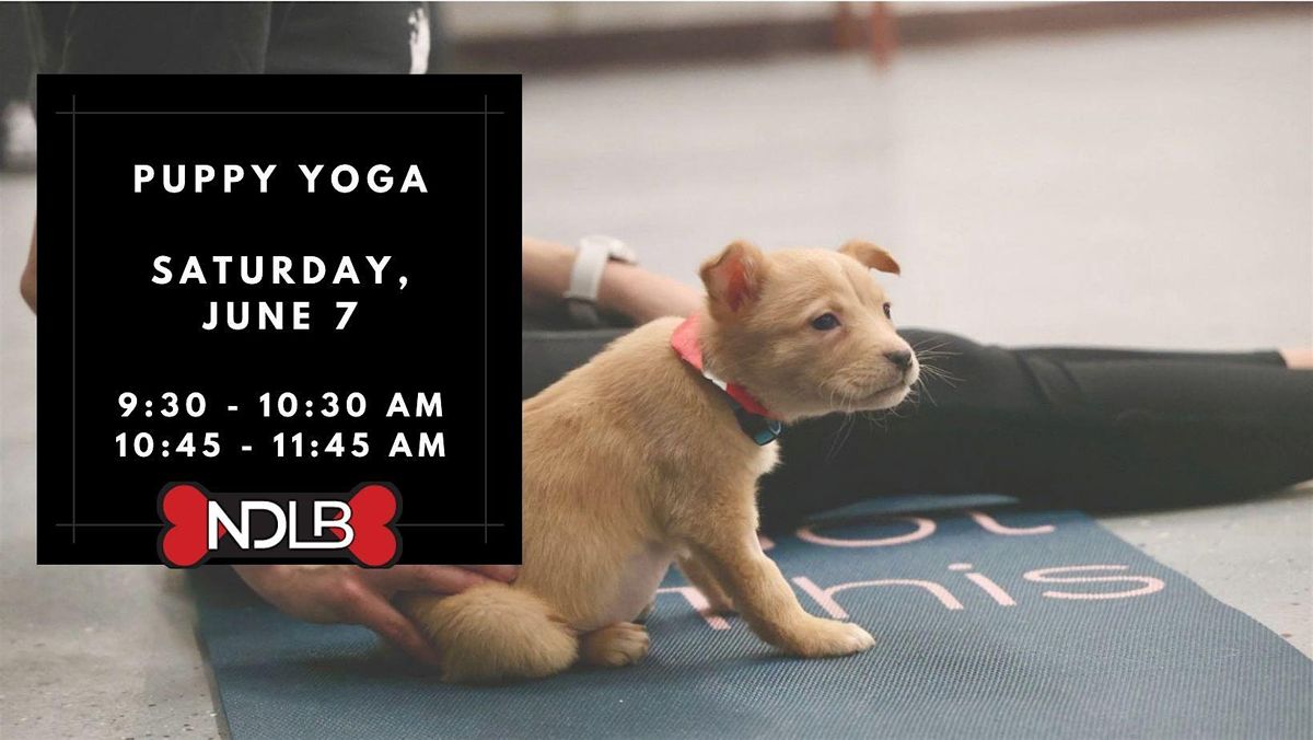Puppy Yoga with No Dog Left Behind (Session 2), 7 June | Event in Maple Grove | AllEvents