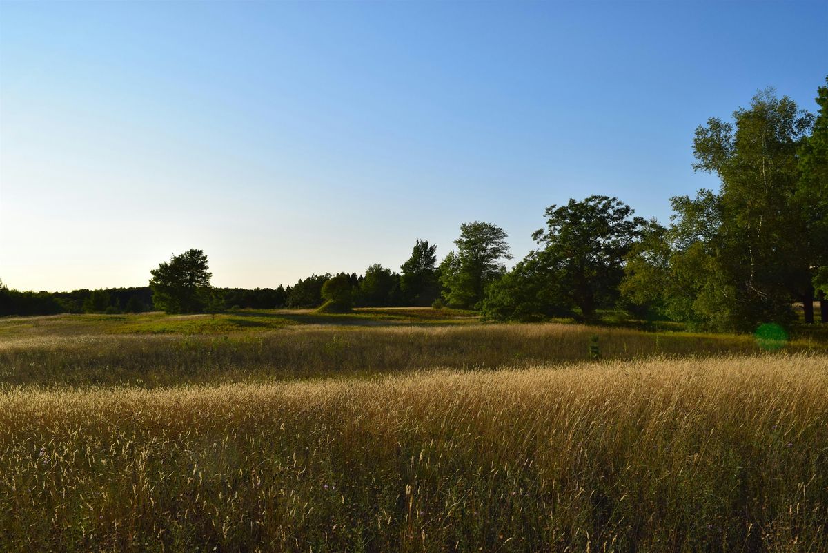 Preserve Stewards: Invasive Species at the George and Sue Lane Preserve, 11 September | Event in Gladwin | AllEvents
