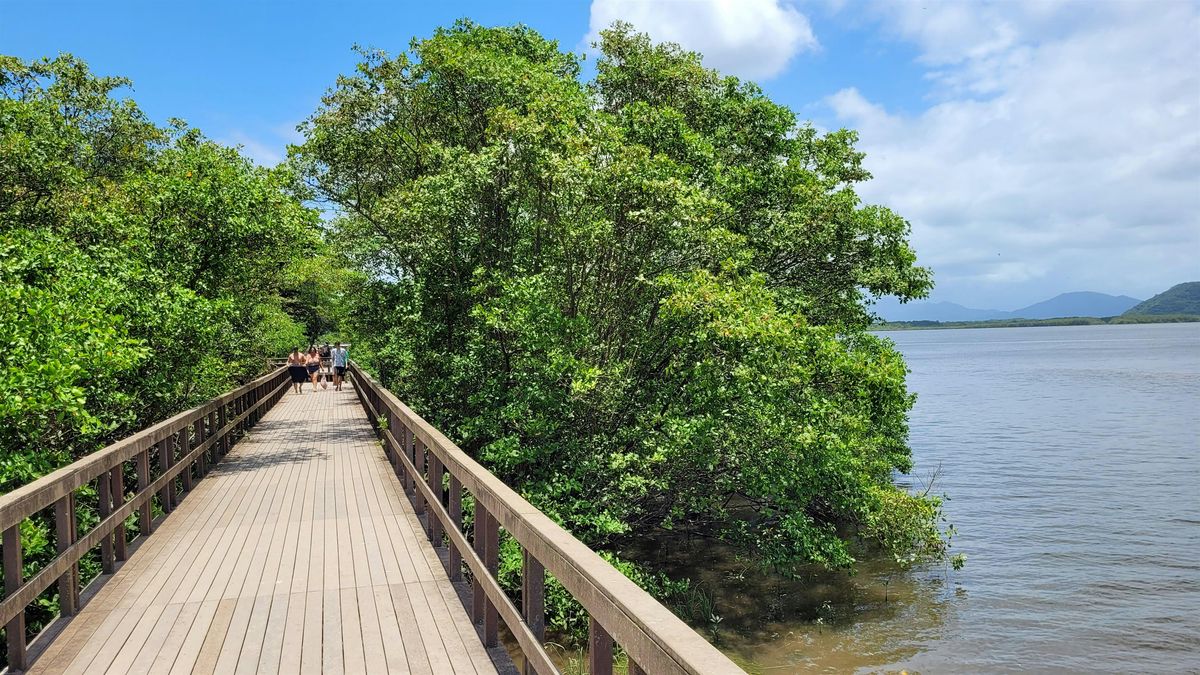 S. FL Arb. and Landscape Webinar Series - 8/21/2025 (Mangrove Mgmt.), 21 August | Online Event | AllEvents