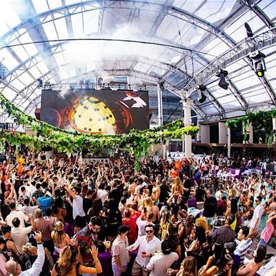 Free Indoor Pool Party at The Cosmopolitan, The Cosmopolitan of Las