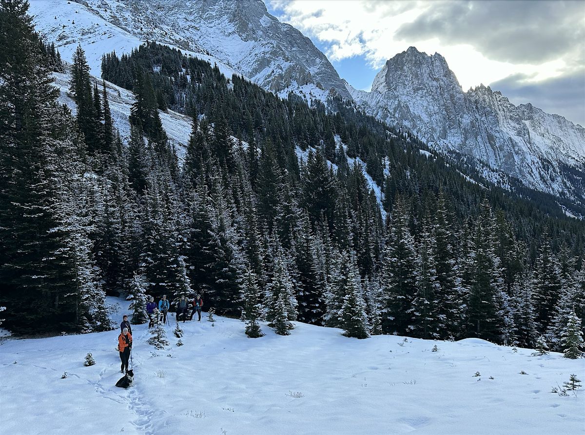 Intro to Trail Running: Winter Edition, 8 November | Event in bragg creek | AllEvents